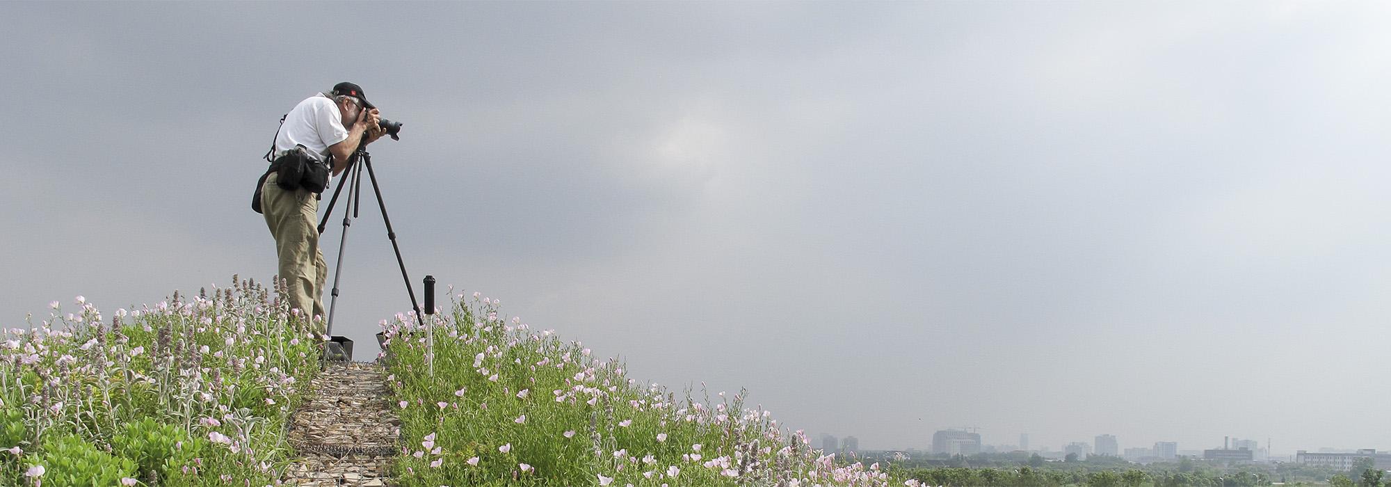 It Takes One Tom Fox The Cultural Landscape Foundation